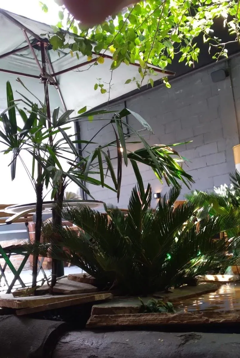 Quintal da HB com árvore grande, plantas e mesas ao ar livre